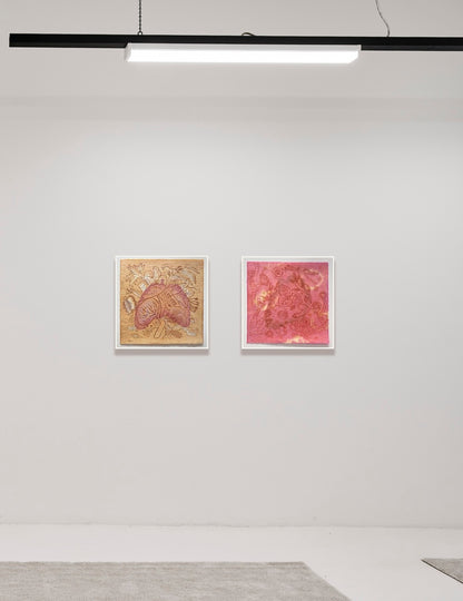 My Garden (Desert Rose)