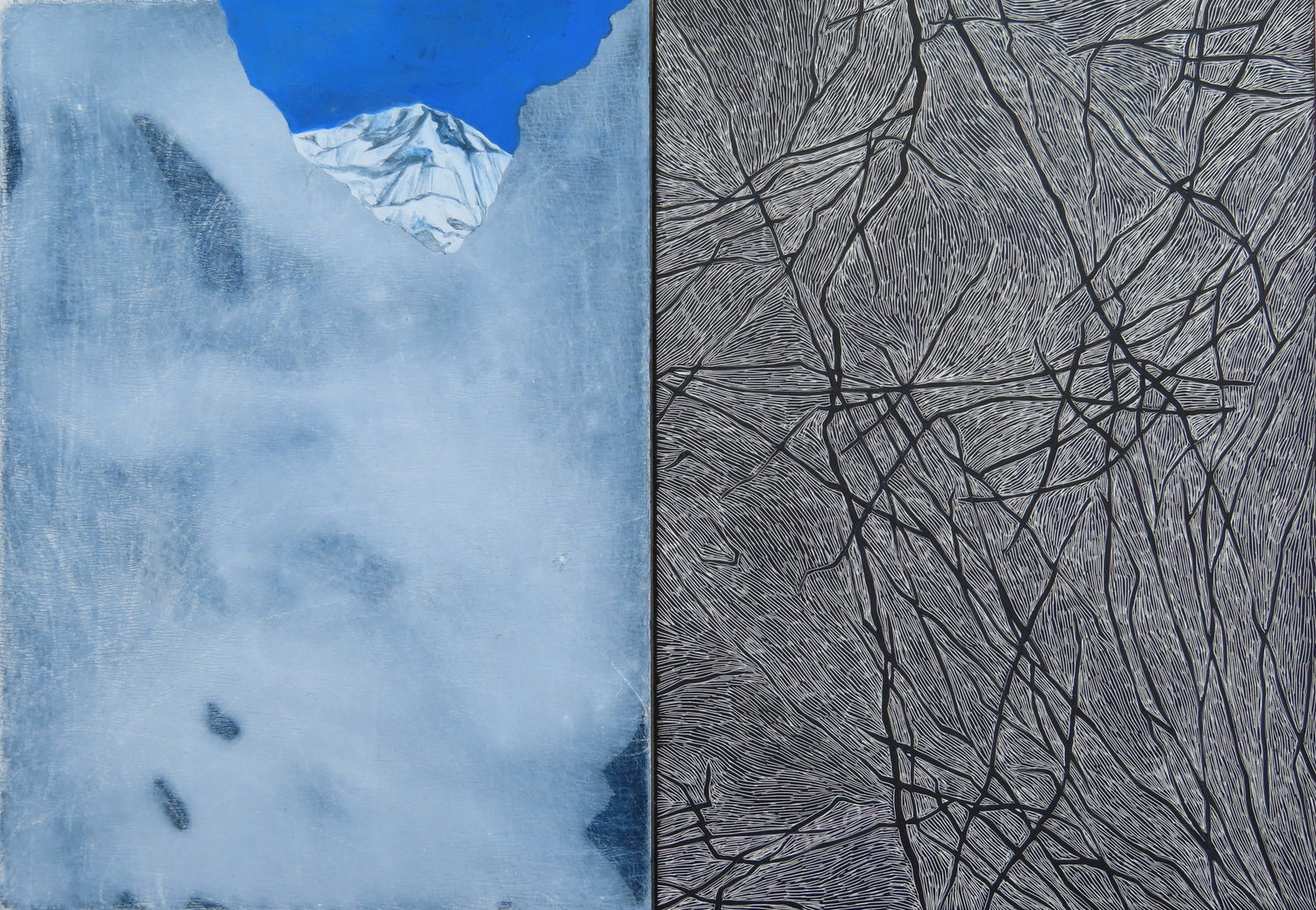Crevasse #1
