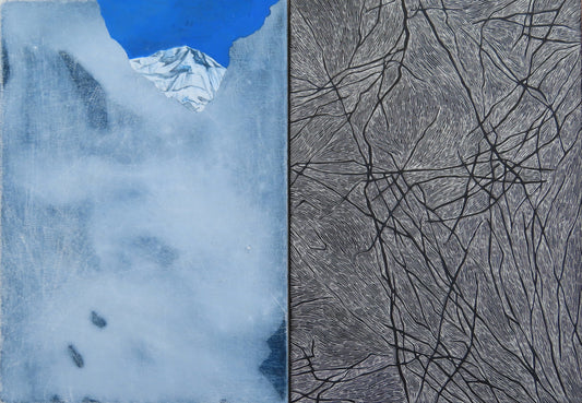 Crevasse #1