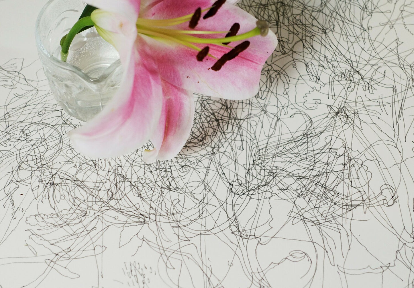 Five Days in the Life of a Dying Flower
