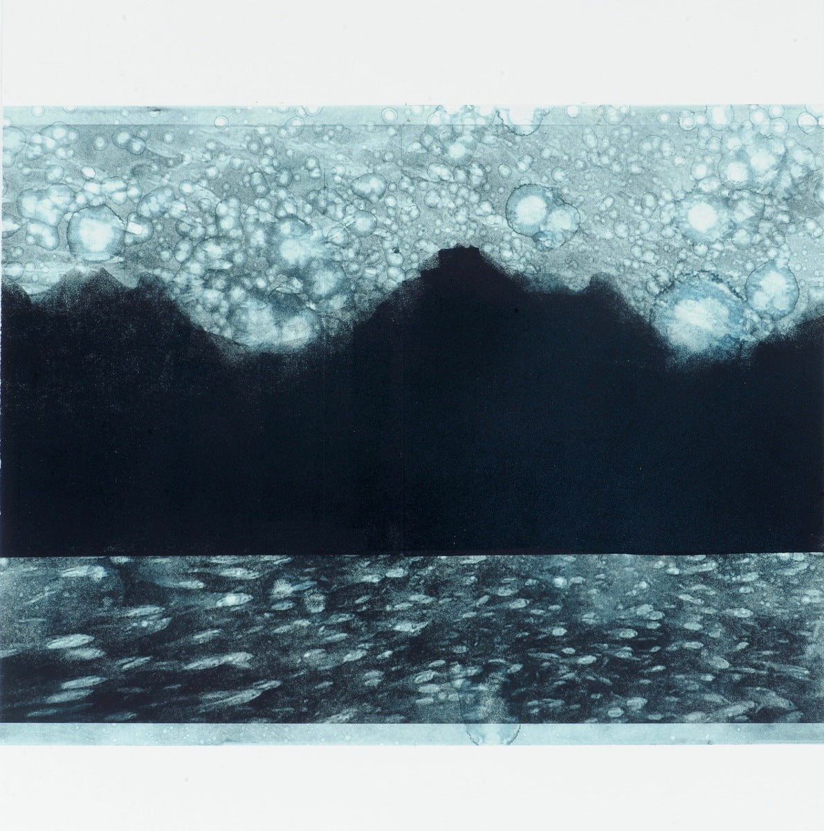 Diel Vertical Migration