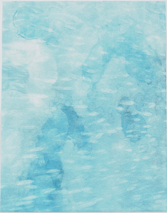 The Creatures in the Reef