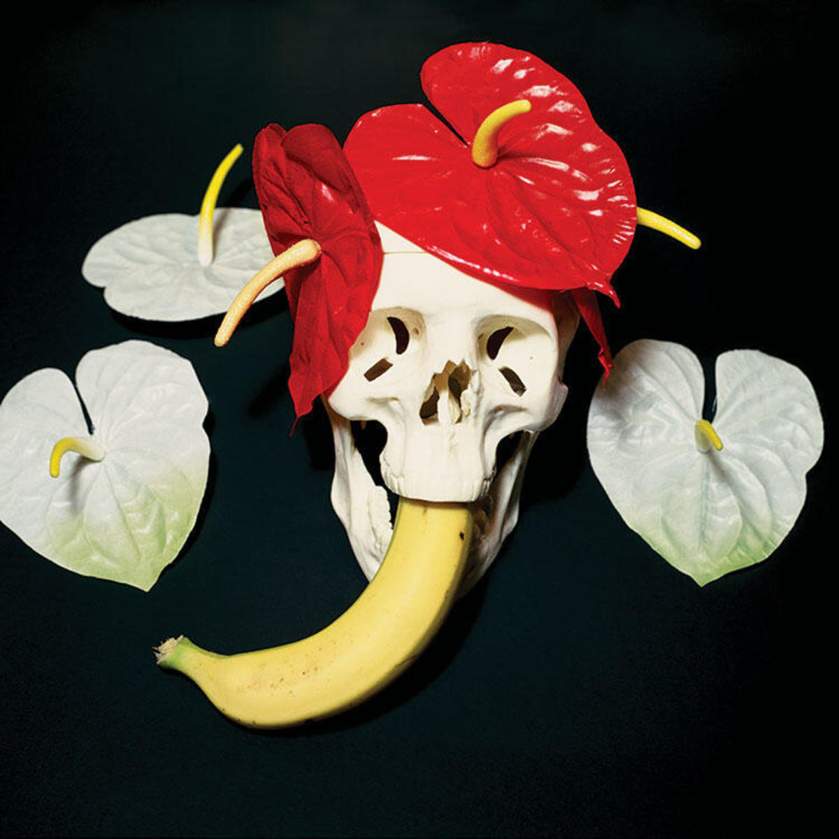 Fruitarian (after Natalia LL, Skall I, 1995)