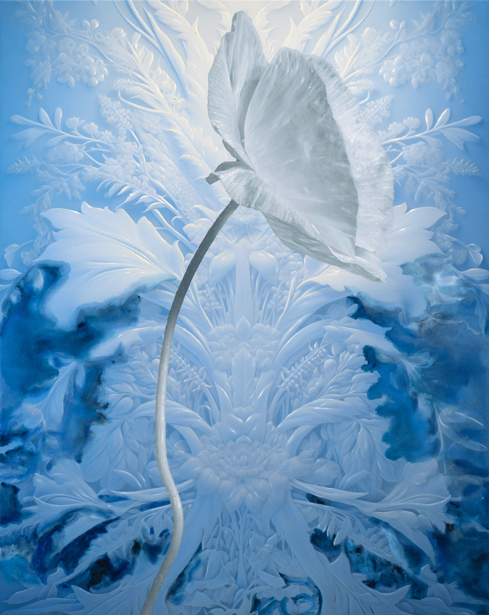 Infrabotanica Papaver Rhoeas III