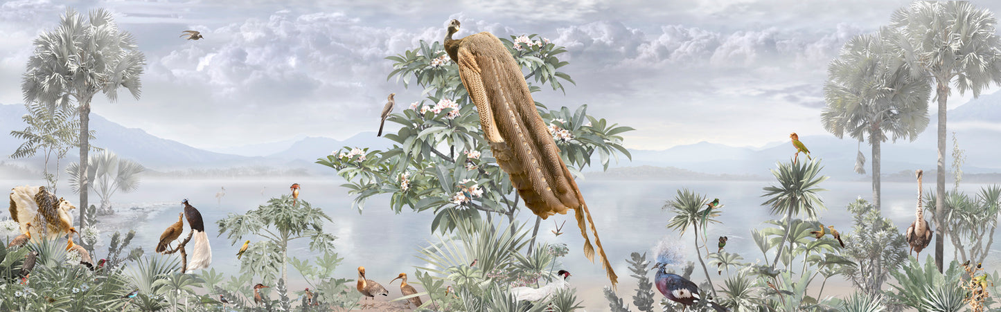 Le Vol II (custom wallpaper)