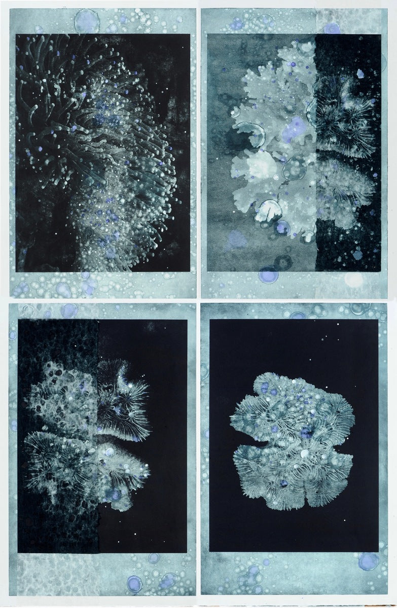 Ghosts in our Oceans