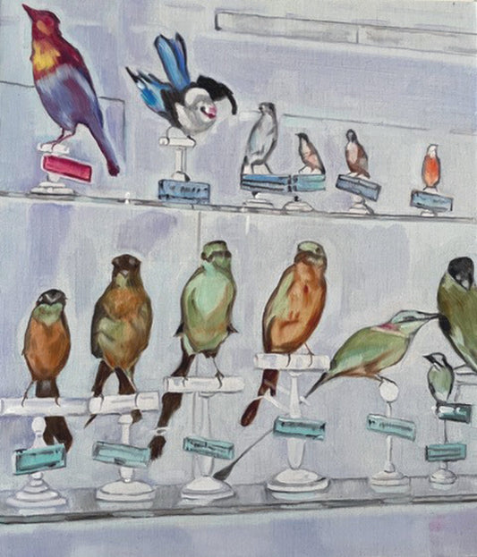 Collecting Birds #4