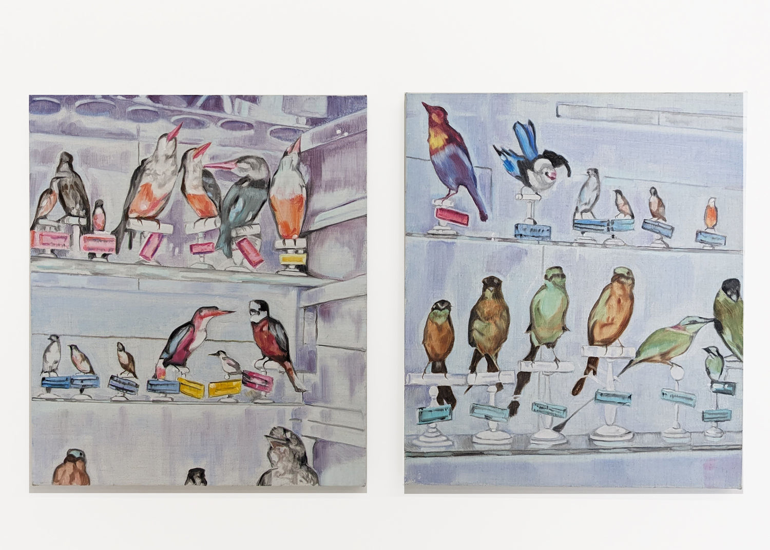 Collecting Birds #4