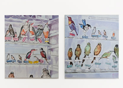 Dena Kahan | Collecting Birds #4