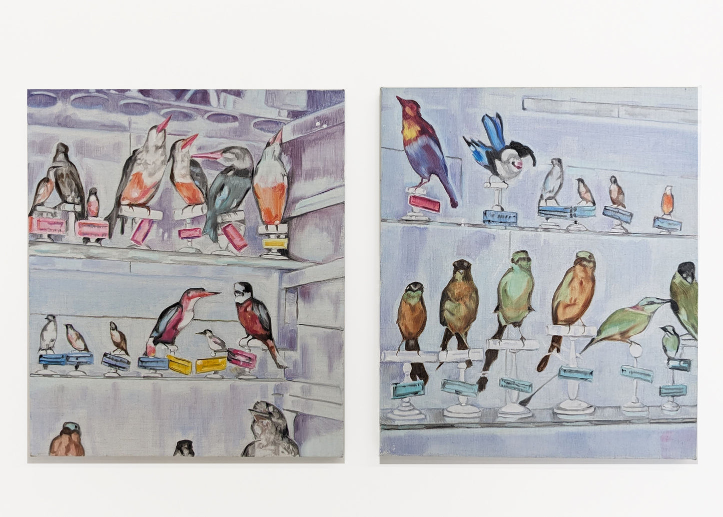 Dena Kahan | Collecting Birds #5