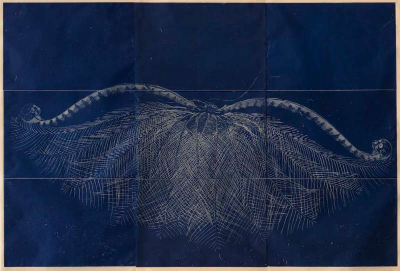 Martin King, Dawn Survey, indigo, 2015, etching, 90x134cm (editioned)